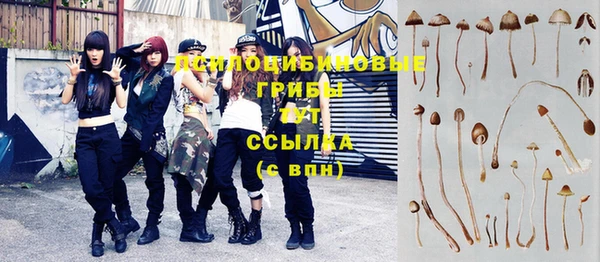 винт Карпинск