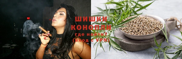 дживик Саяногорск