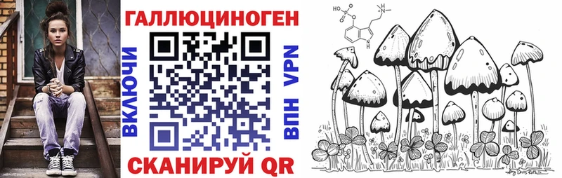 купить наркотики сайты  Кириллов  Галлюциногенные грибы Cubensis 